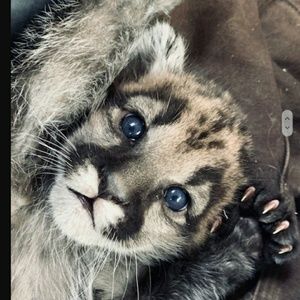 Meet your Posher, Marisa